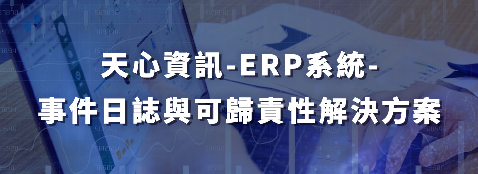 erp11 解決方案